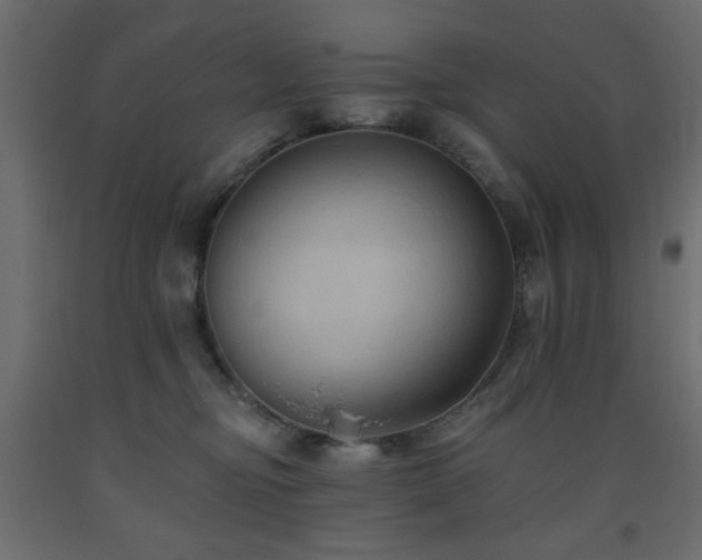 X0000093560374200710151112