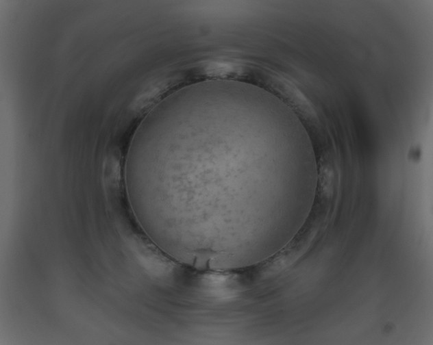 X0000093560375200710151112