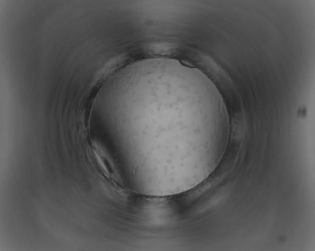 X0000093560377200710151112
