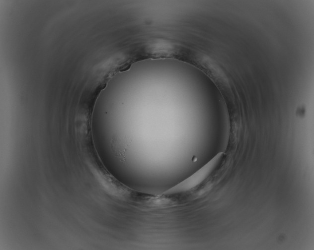 X0000093560379200710151112