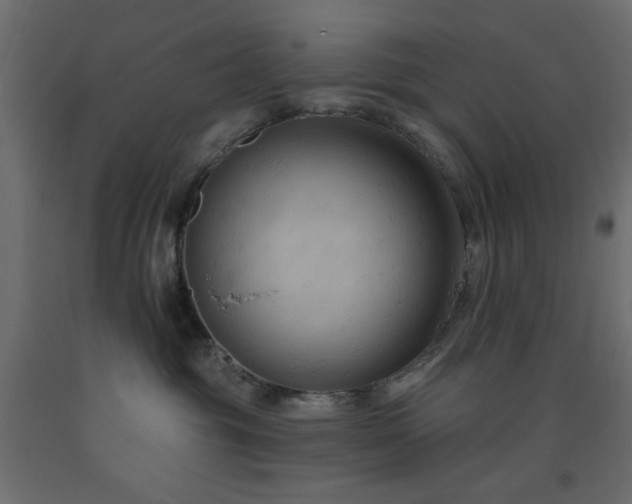 X0000093560381200710151112