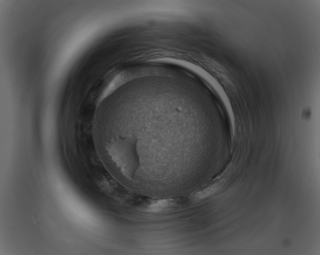 X0000093560382200710151112