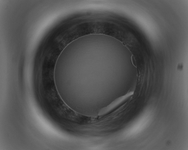 X0000093560383200710151112