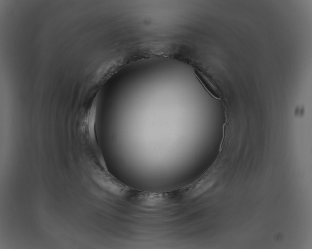 X0000093560384200710151112