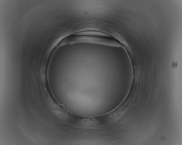 X0000093560386200710151111