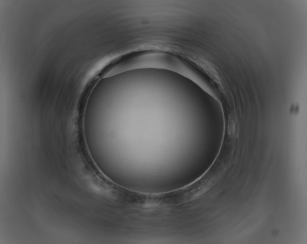 X0000093560388200710151111
