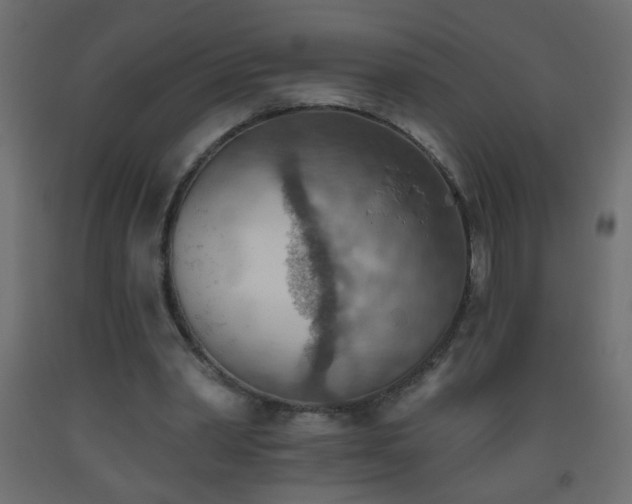 X0000093560390200710151111