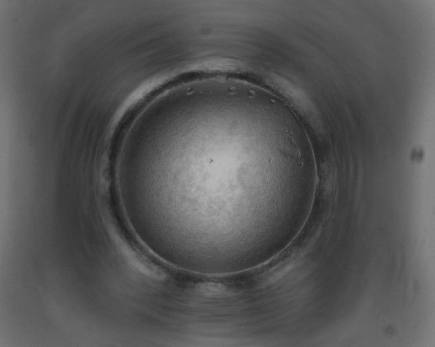 X0000093560392200710151111