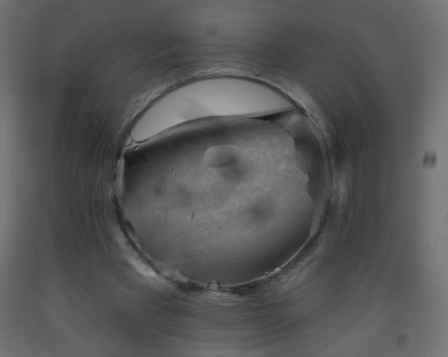 X0000093560393200710151111