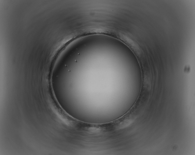 X0000093560394200710151111