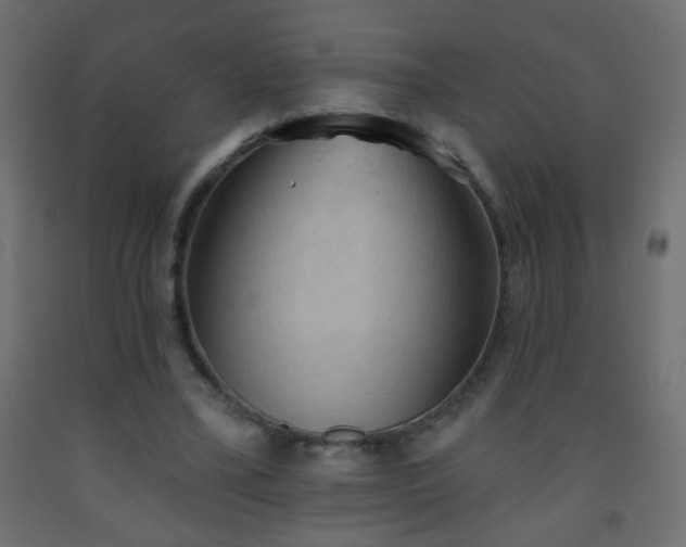 X0000093560395200710151111