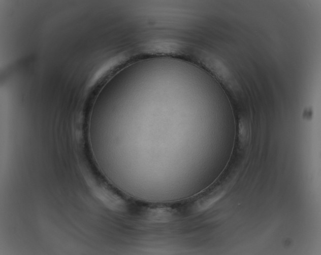 X0000093560396200710151111