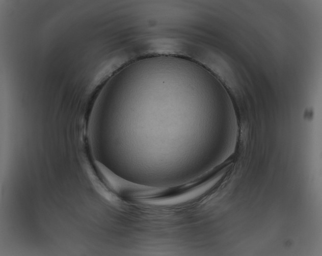 X0000093560397200710151111
