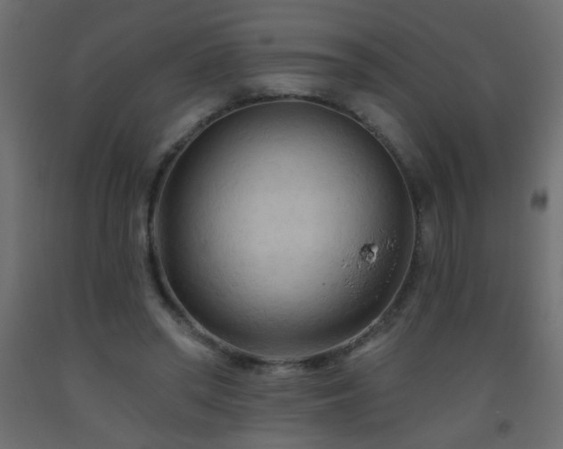 X0000093560398200710151111
