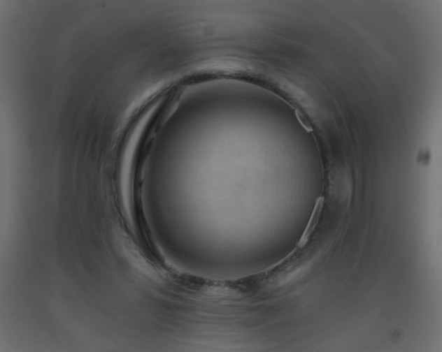 X0000093560399200710151111