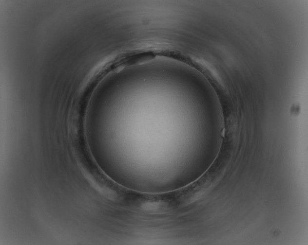 X0000093560400200710151111
