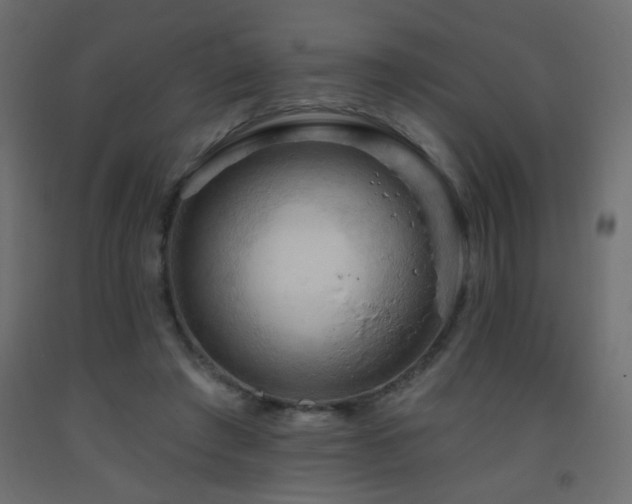 X0000093560401200710151111