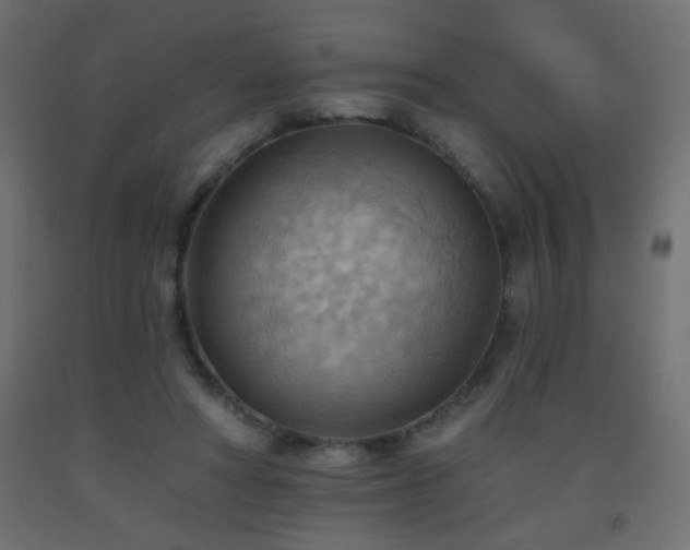 X0000093560402200710151111