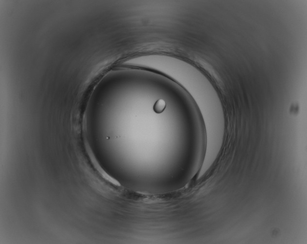 X0000093560403200710151111