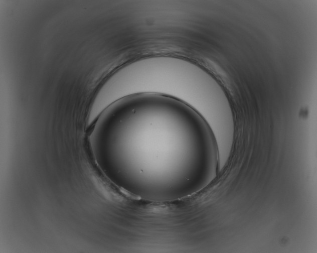 X0000093560405200710151111