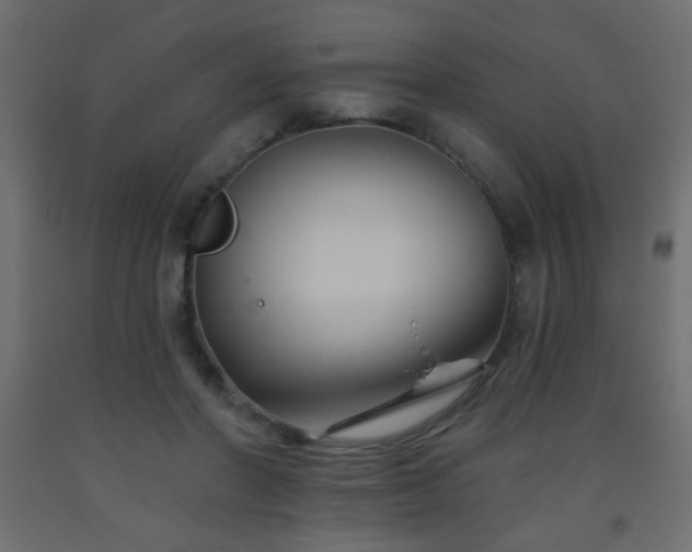 X0000093560406200710151111