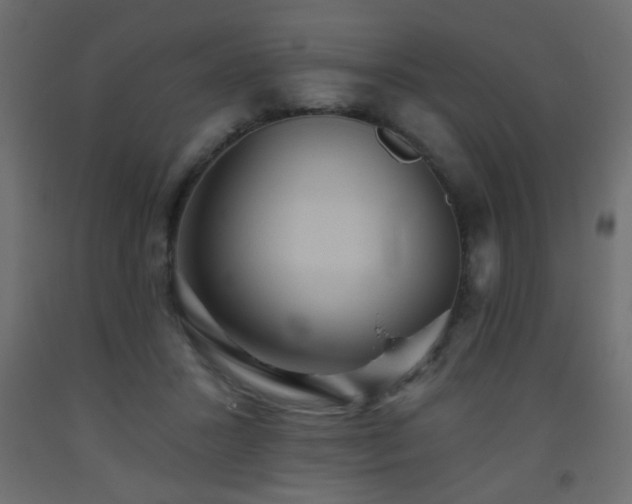 X0000093560407200710151111