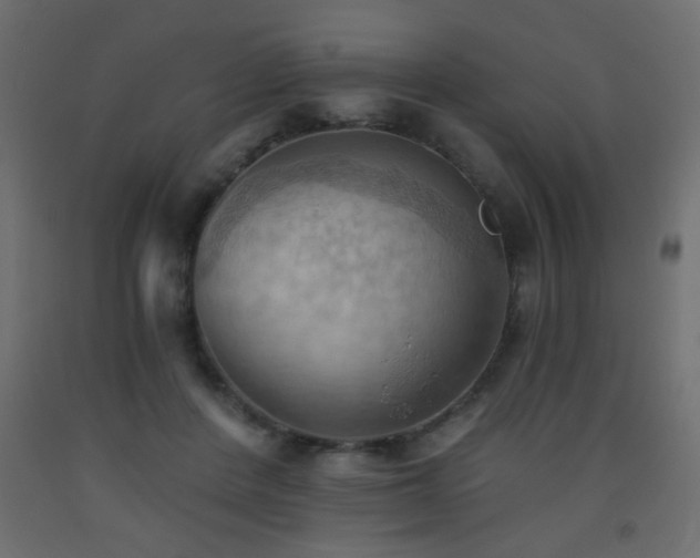 X0000093560408200710151111