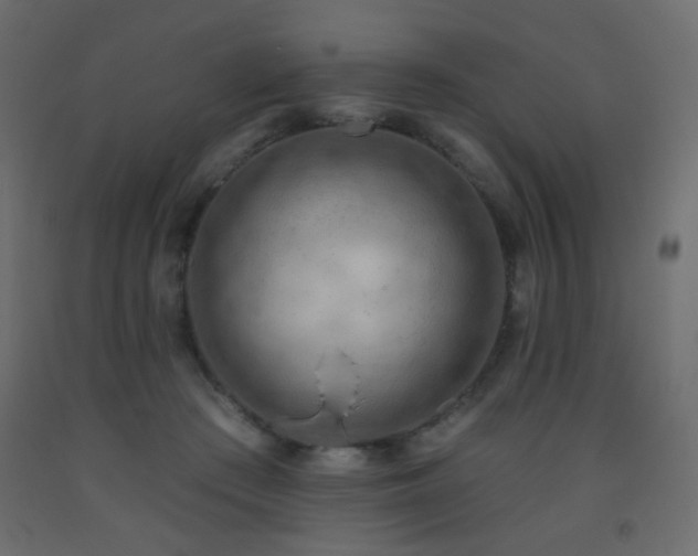 X0000093560409200710151111