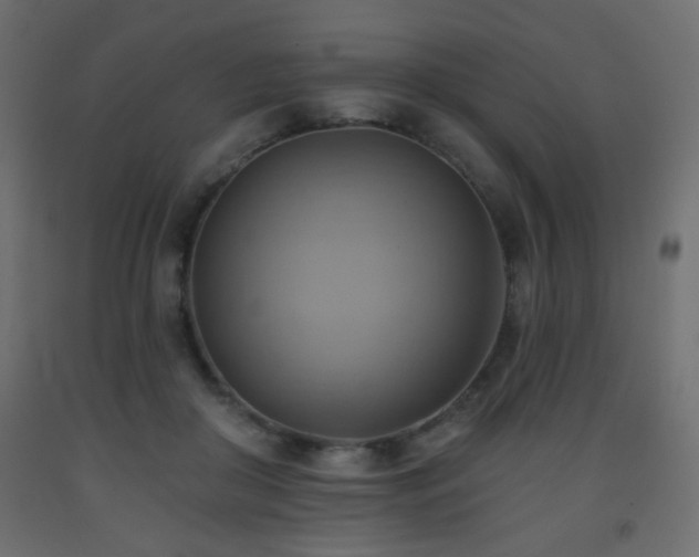 X0000093560410200710151111
