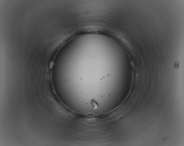 X0000093560411200710151111