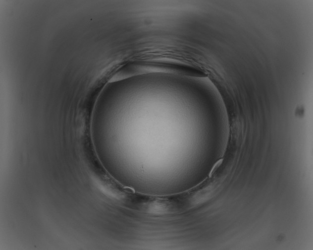X0000093560412200710151111