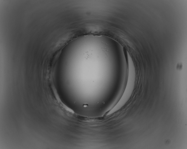 X0000093560417200710151111