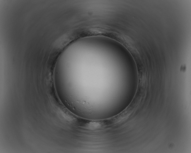 X0000093560418200710151111