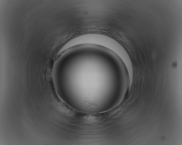 X0000093560419200710151111