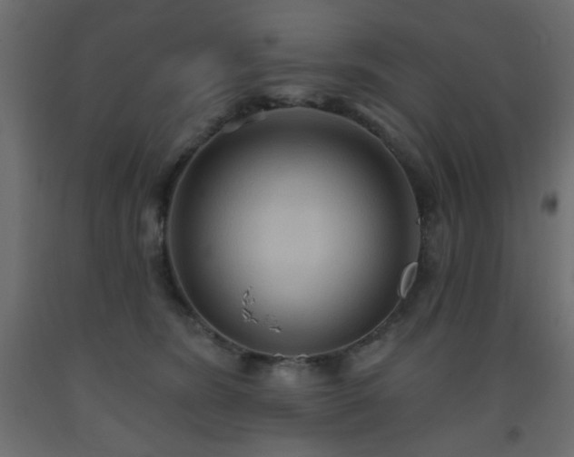 X0000093560420200710151111
