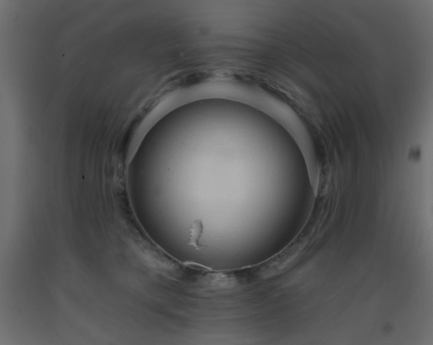 X0000093560421200710151111