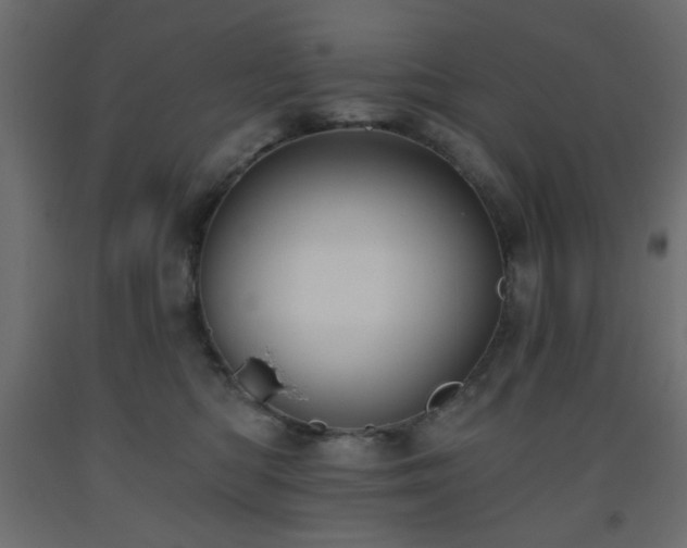 X0000093560422200710151111