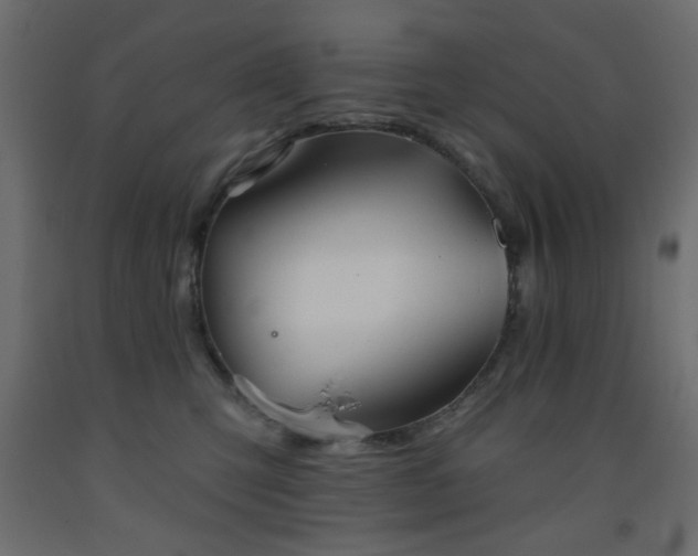 X0000093560423200710151111