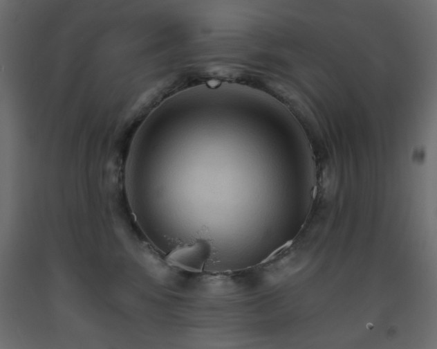 X0000093560424200710151111