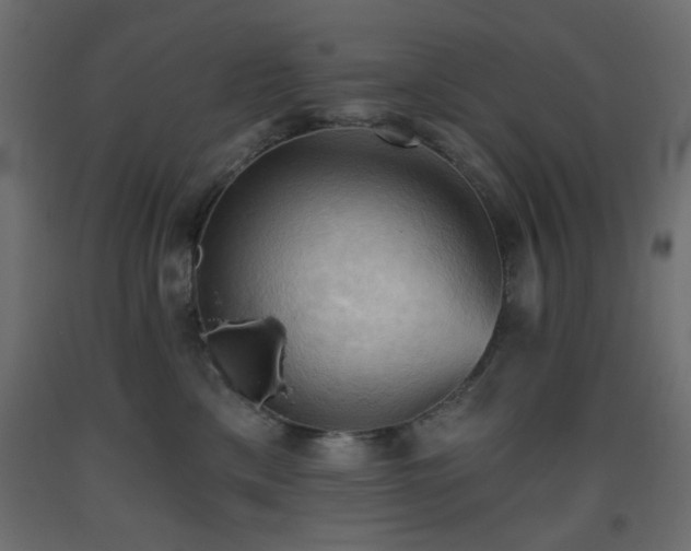 X0000093560425200710151111