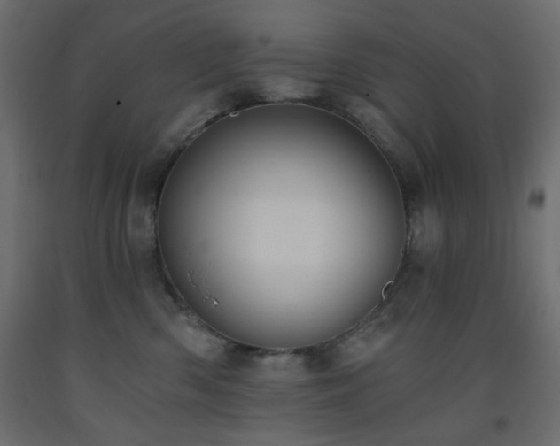 X0000093560426200710151111
