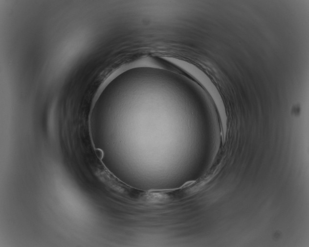 X0000093560429200710151111