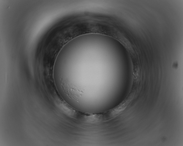 X0000093560430200710151111