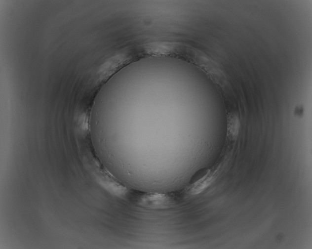 X0000093560431200710151111