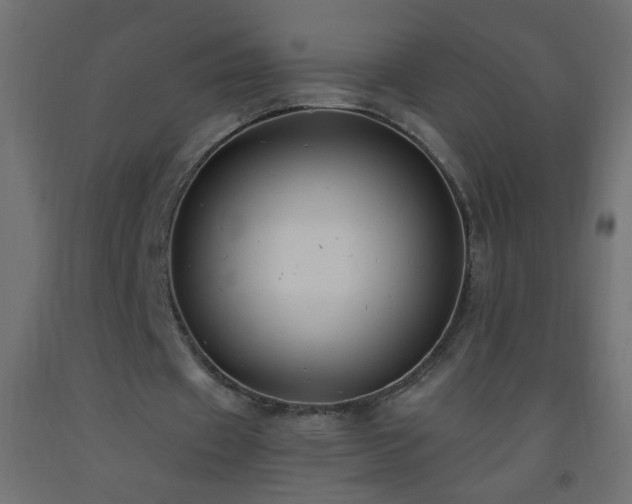 X0000093560433200710151110