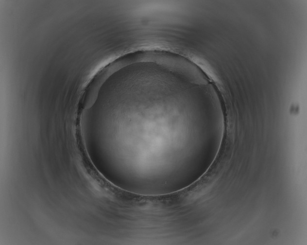 X0000093560434200710151110