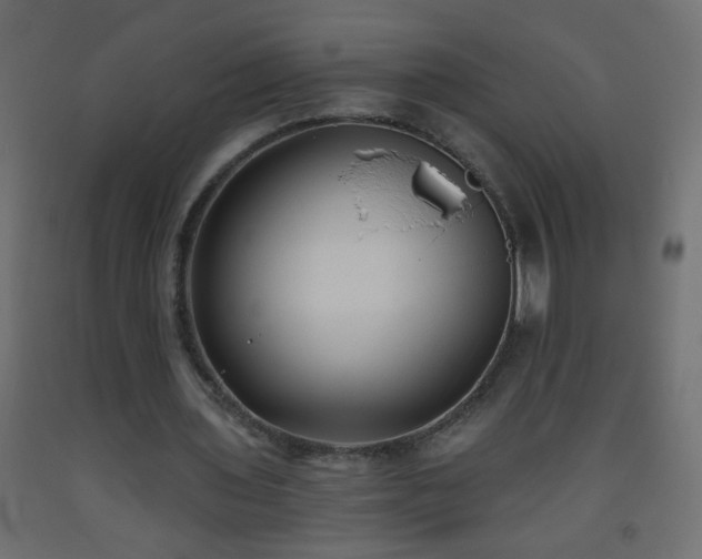 X0000093560435200710151110