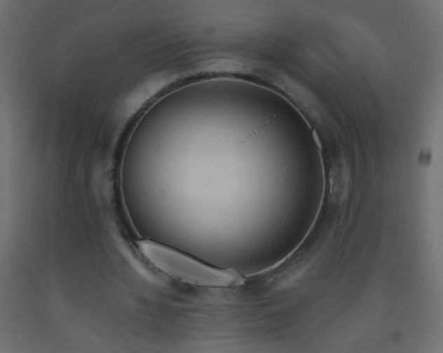 X0000093560436200710151110