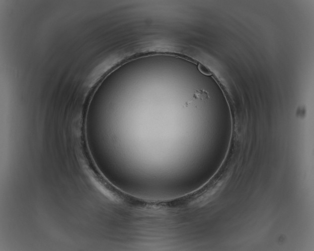 X0000093560437200710151110