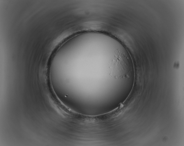 X0000093560439200710151110
